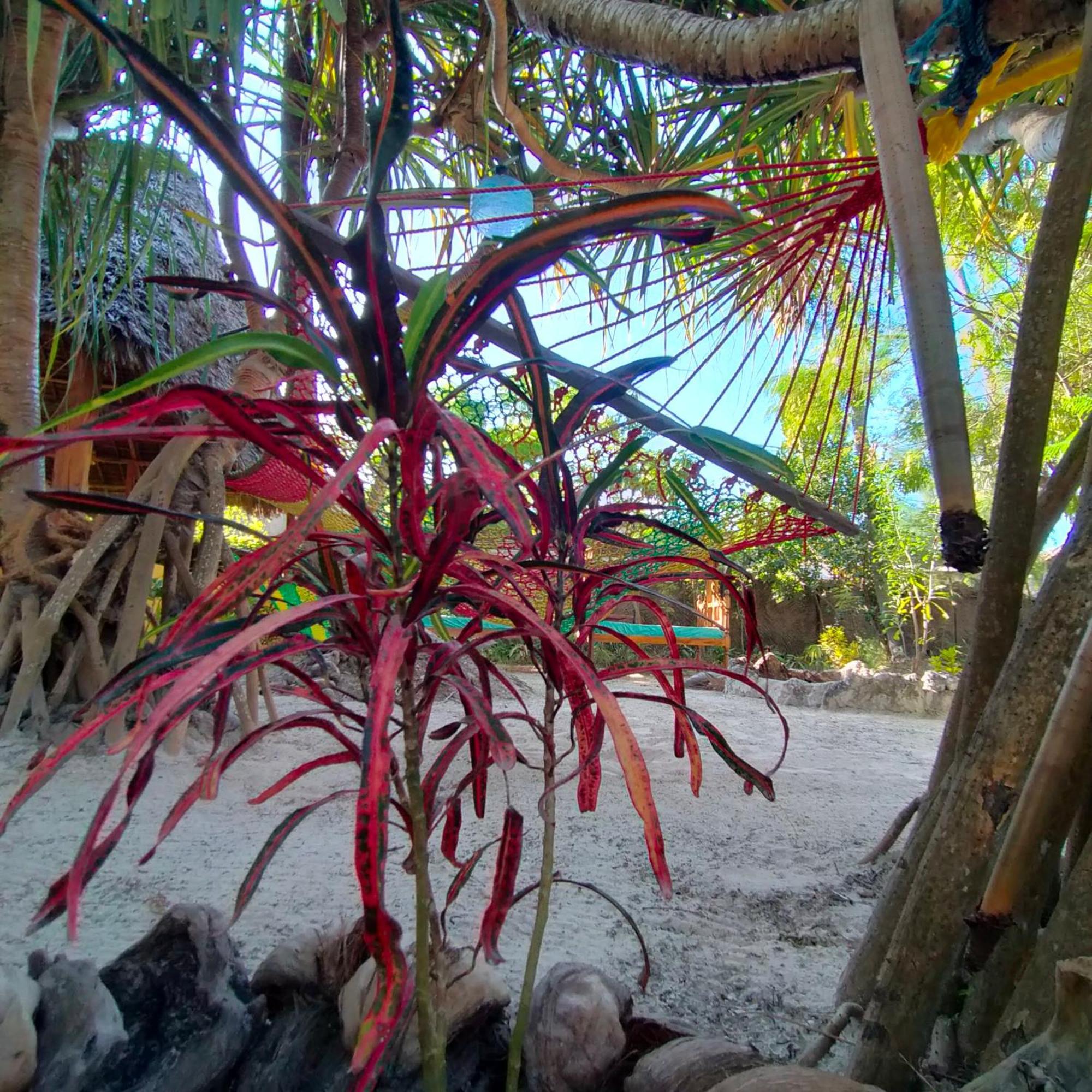 Eden Paradise Michamvi Exterior foto