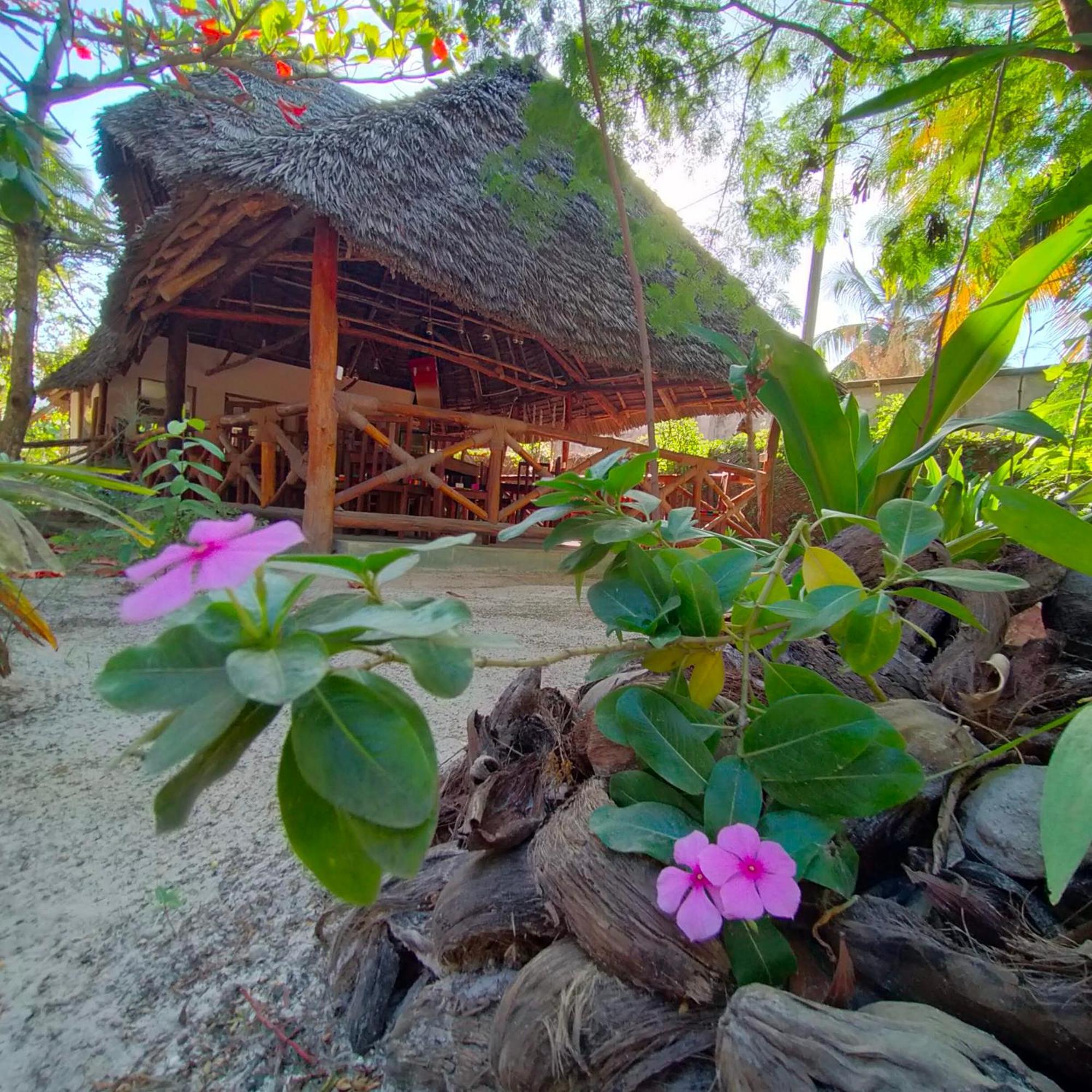 Eden Paradise Michamvi Exterior foto